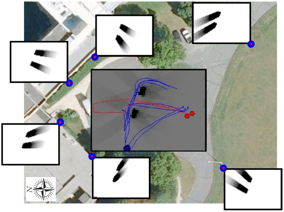 On-line control of active camera networks for computer vision tasks
