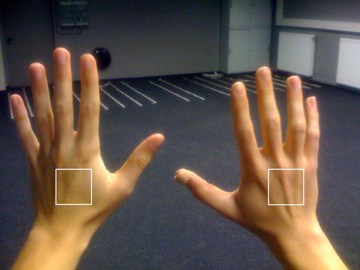 [POSTER] A Virtual Body for Augmented Virtuality by Chroma-Keying of Egocentric Videos