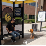 The Social and Behavioral Influences of Interactions with Virtual Dogs as Embodied Agents in Augmented and Virtual Reality
