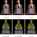 The Advantages of Virtual Dogs Over Virtual People: Using Augmented Reality to Provide Social Support in Stressful Situations